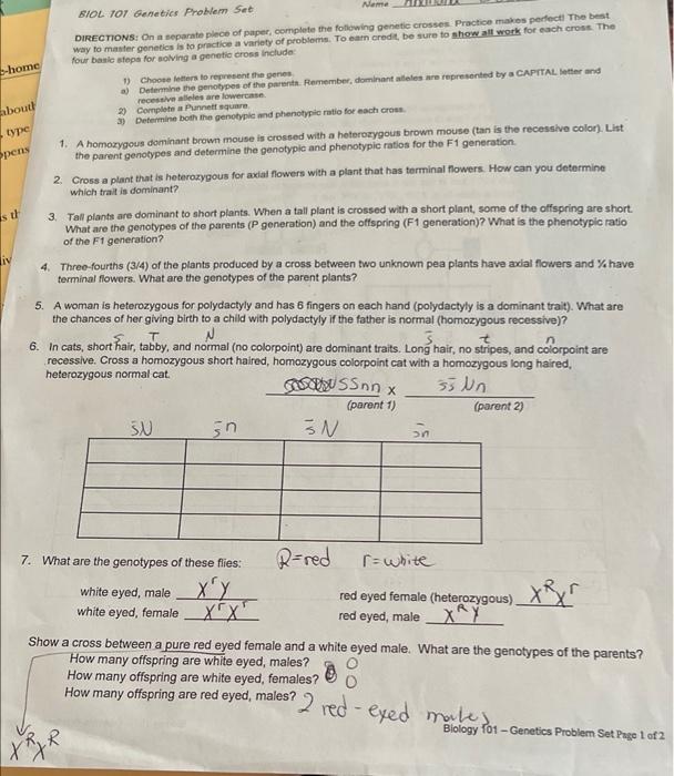 Solved Neme BIOL 101 Genetics Problem Set DIRECTIONS: On a | Chegg.com