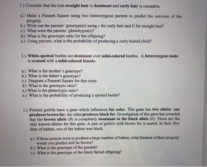 Solved 1 Consider That The Trait Straight Hair Is Dominant Chegg