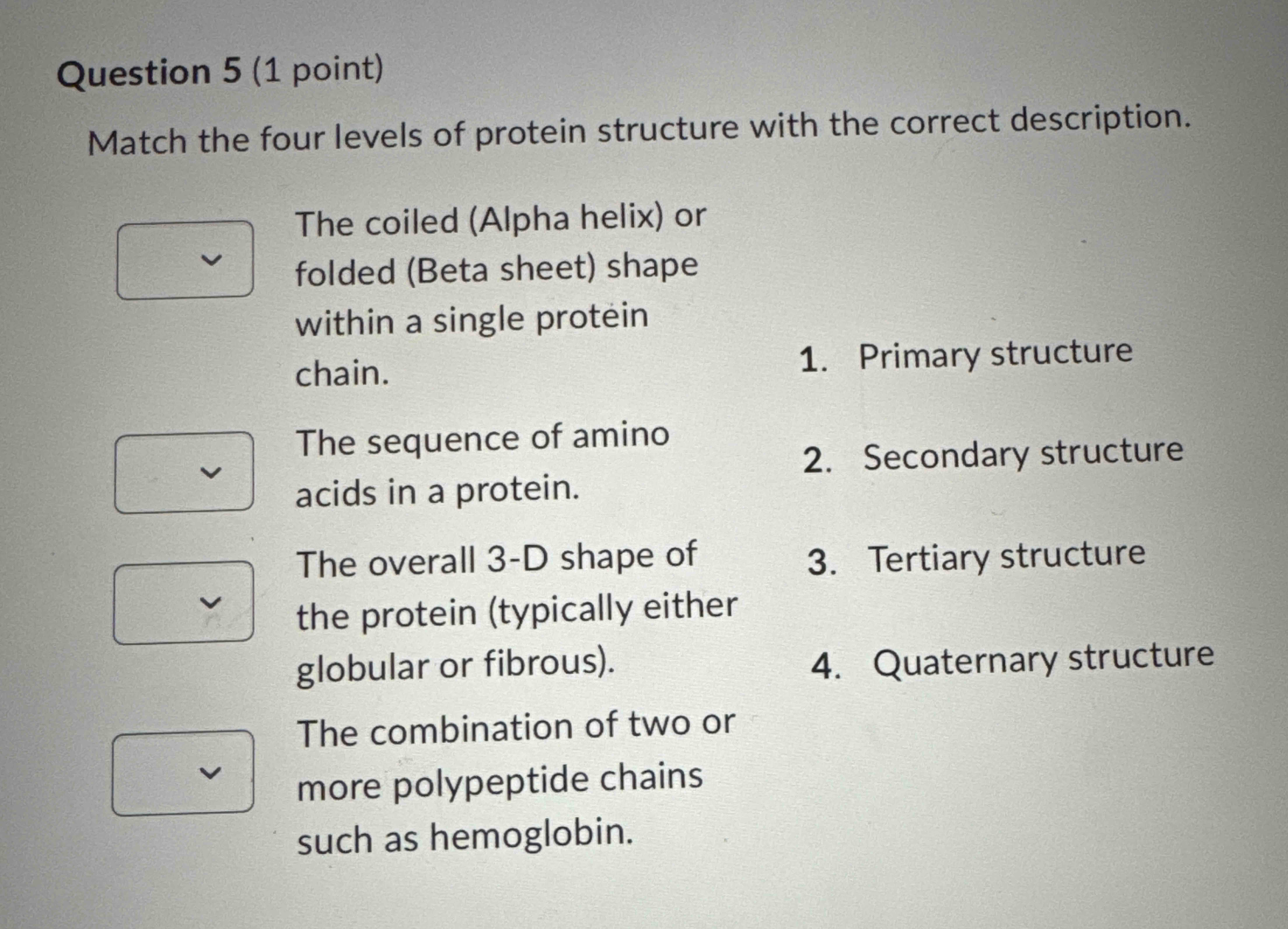 Solved Question 5 (1 ﻿point)Match the four levels of protein | Chegg.com