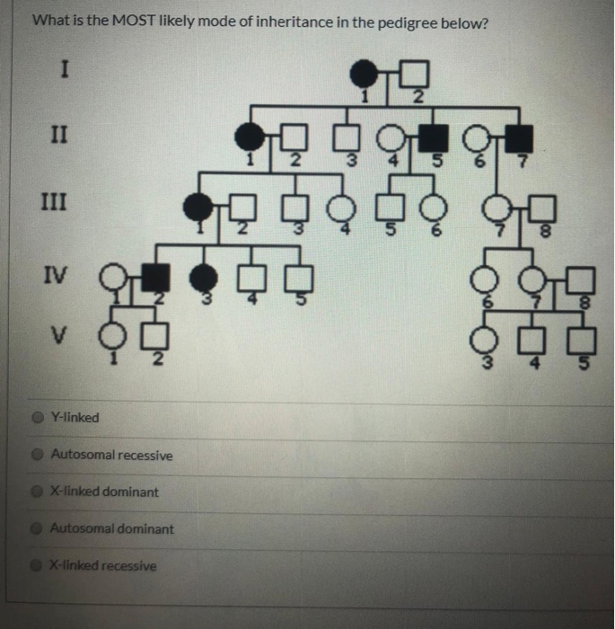 Solved What Is The MOST Likely Mode Of Inheritance In The | Chegg.com