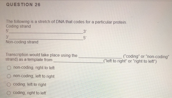 Solved QUESTION 25 The following is a stretch of DNA that | Chegg.com