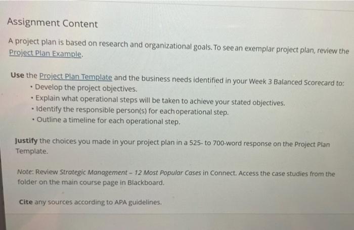 2 Styles 3 9 Editing Project Plan Template Project | Chegg.com