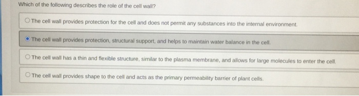 which-term-best-describes-integral-proteins