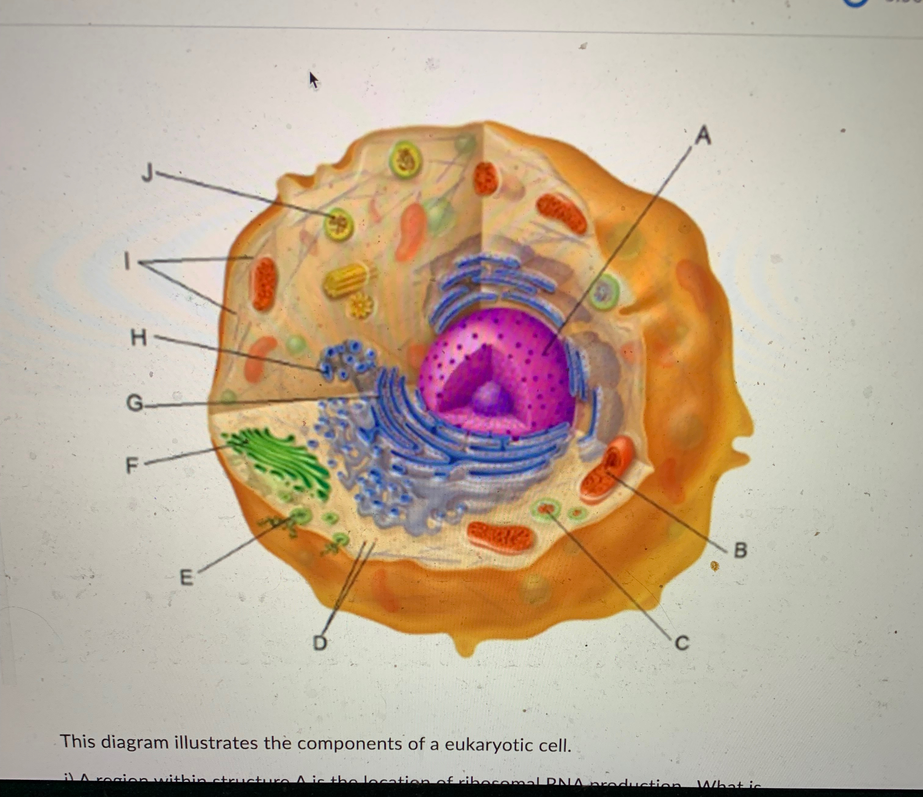 Solved This diagram illustrates the components of a | Chegg.com