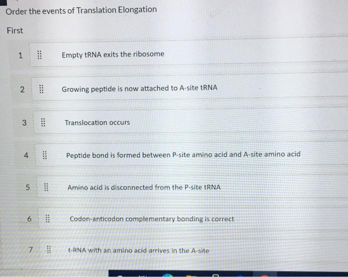 Solved Order the events of Transcription First 1 RNA | Chegg.com