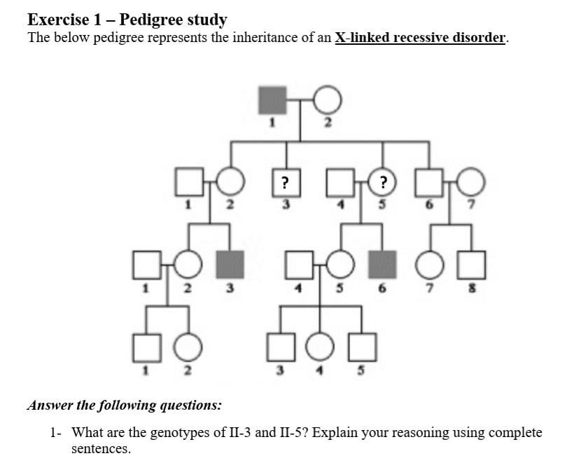 Solved Exercise 1 - Pedigree study The below pedigree | Chegg.com