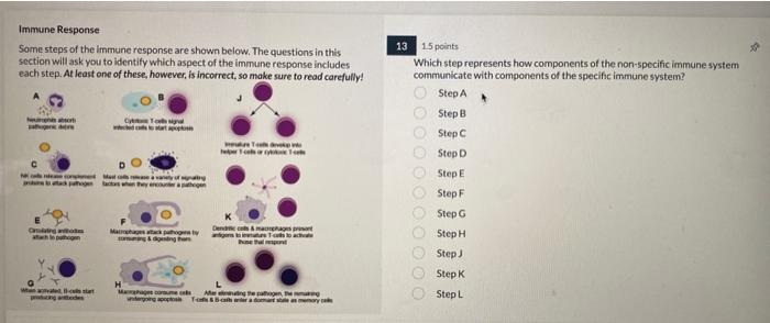 Solved Immune Response Some steps of the immune response are | Chegg.com
