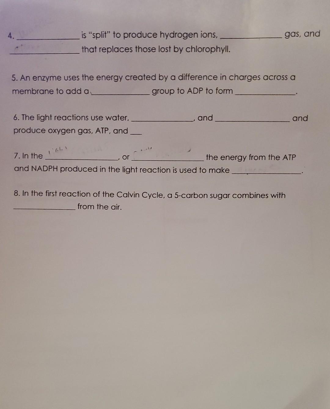 solved-light-and-dark-reactions-of-photosynthesis-chegg