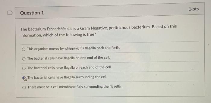 Solved 1.pts Question 1 The bacterium Escherichia coli is a | Chegg.com