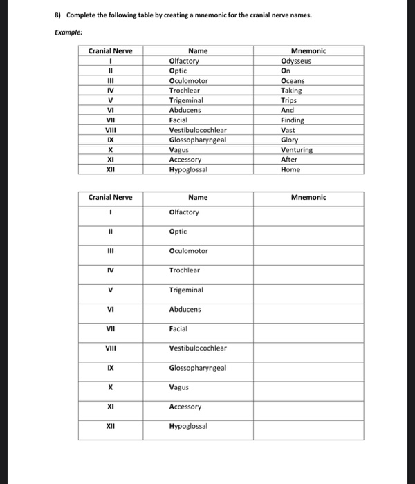 Solved 7 Using The Following Labelled Diagrams Of The Sk Chegg Com