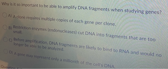 Solved Why Is It So Important To Be Able To Amplify DNA F