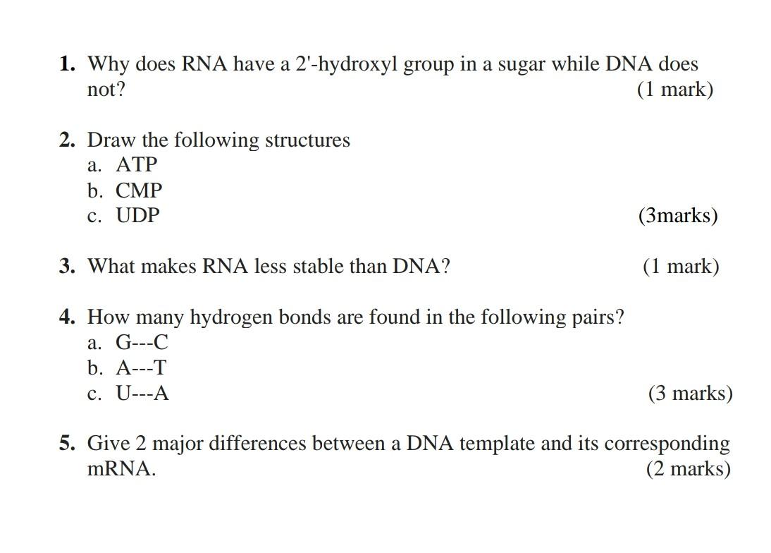 Solved 1. Why does RNA have a 2'hydroxyl group in a sugar