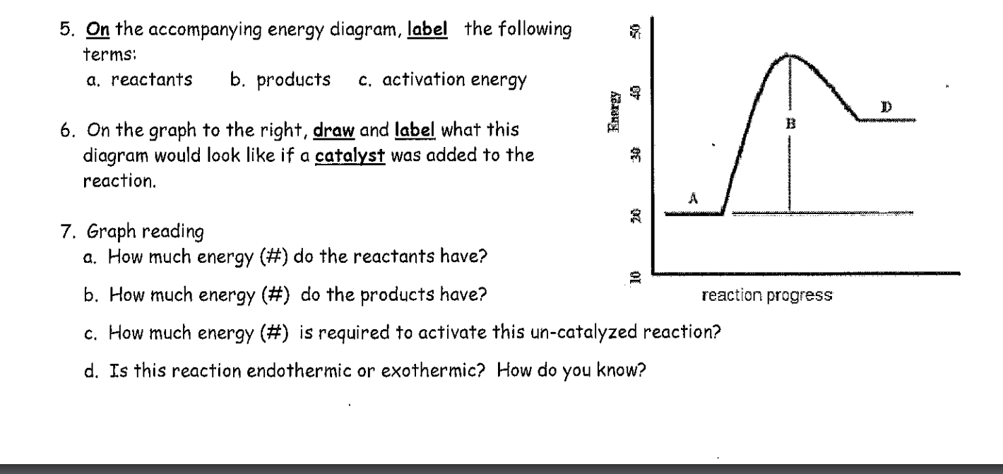 Solved On the accompanying energy diagram, label the | Chegg.com