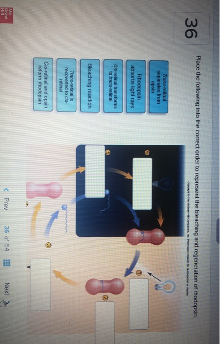 Solved Place The Following Into The Correct Order To Chegg Com