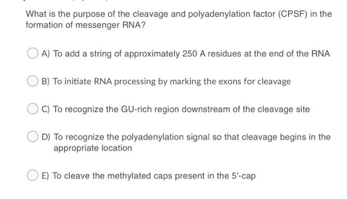 Solved What is the purpose of the cleavage and | Chegg.com