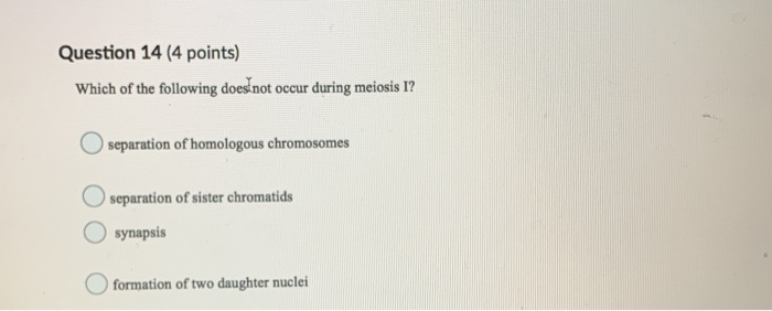 Solved Question 14 (4 points) Which of the following does | Chegg.com