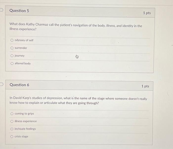 Solved What does Kathy Charmaz call the patient's navigation | Chegg.com