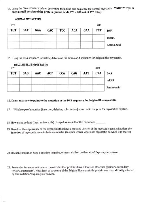Solved 14. Using the DNA sequence below, determine the amino | Chegg.com