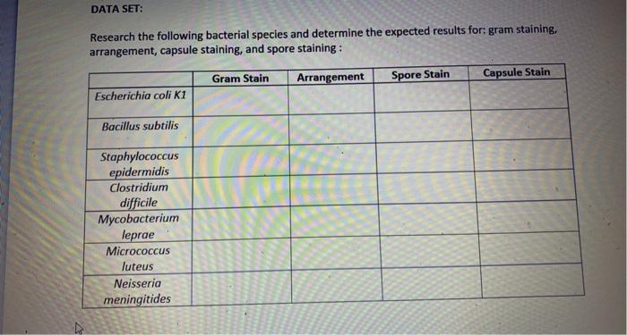 Solved DATA SET: Research the following bacterial species | Chegg.com