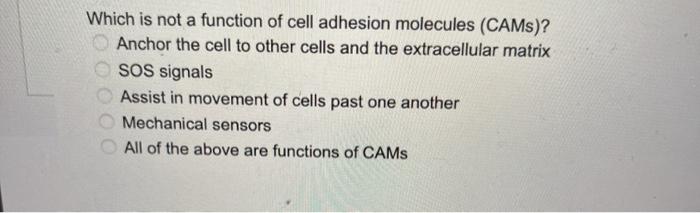 Which is not a function of cell adhesion molecules (CAMs)? Anchor the cell to other cells and the extracellular matrix SOS si