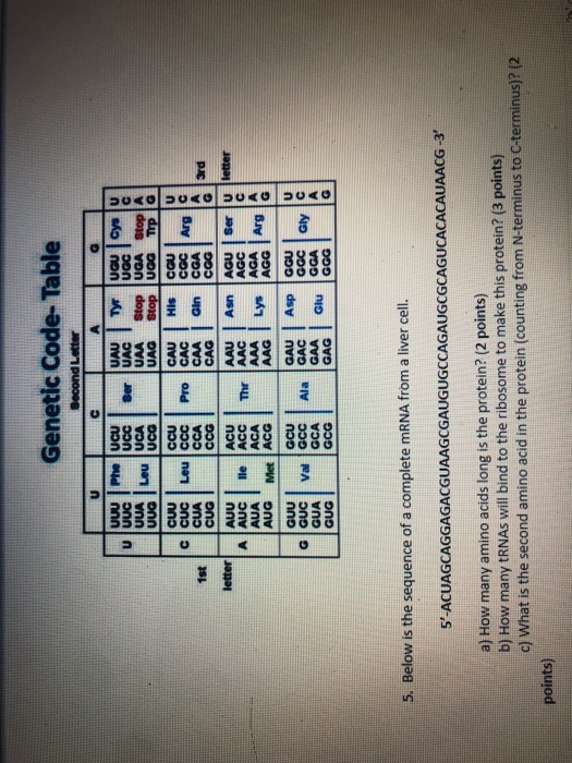 solved-genetic-code-table-second-letter-c-a-cyalu-ber-u-uuu-chegg