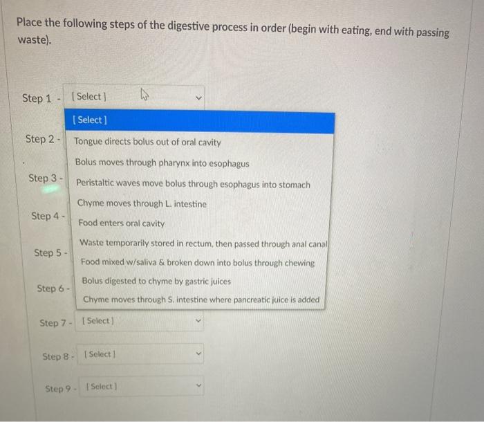 Solved Place the following steps of the digestive process in | Chegg.com