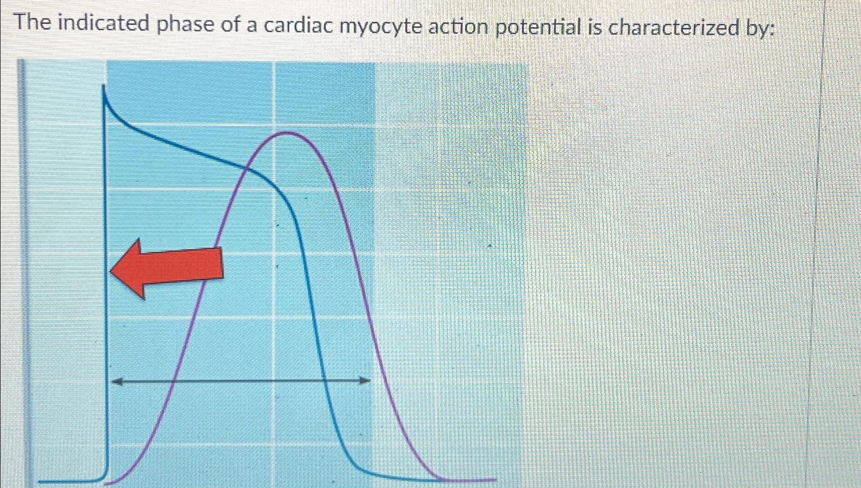 Solved The indicated phase of a cardiac myocyte action | Chegg.com