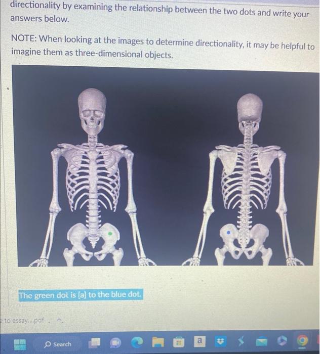 directionality by examining the relationship between | Chegg.com