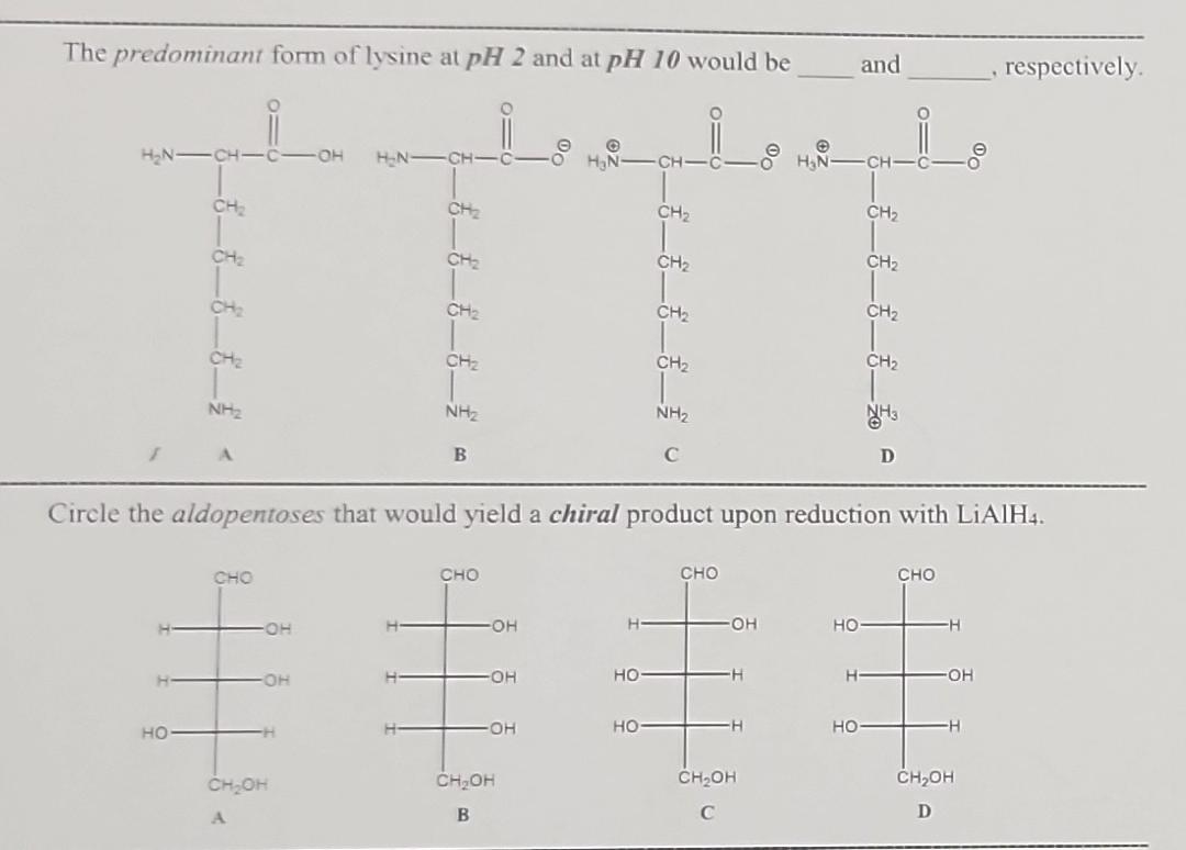 Solved The predominant form of lysine at pH2 and at pH10 | Chegg.com
