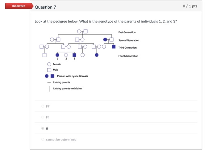 Solved Question 1 1/1 pts Which of the following are true | Chegg.com