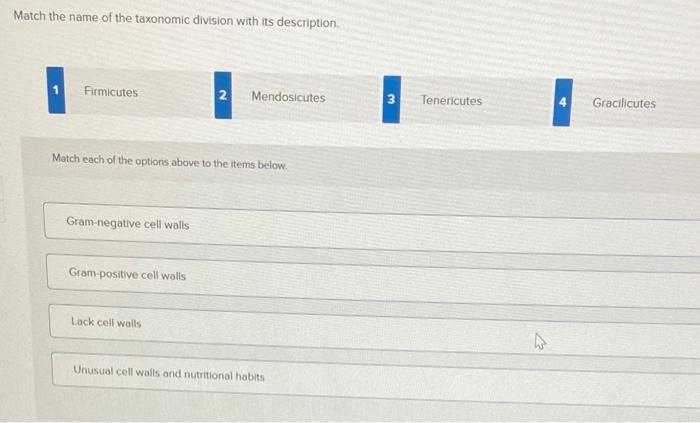 Solved Match the name of the taxonomic division with its | Chegg.com