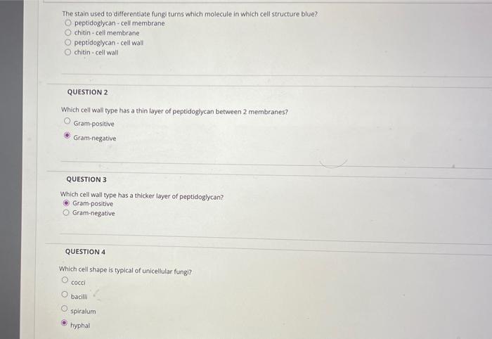 Solved The stain used to differentiate fungi turns which | Chegg.com