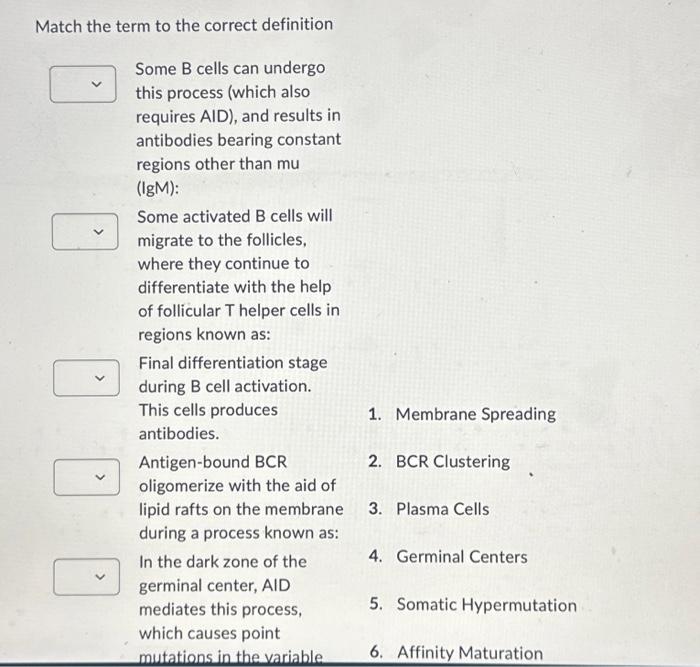 Solved Match the term to the correct definition 4. Germinal