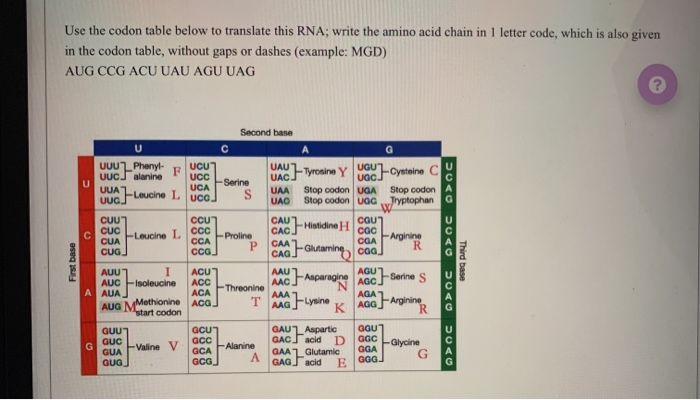 Solved Use the codon table below to translate this RNA; | Chegg.com