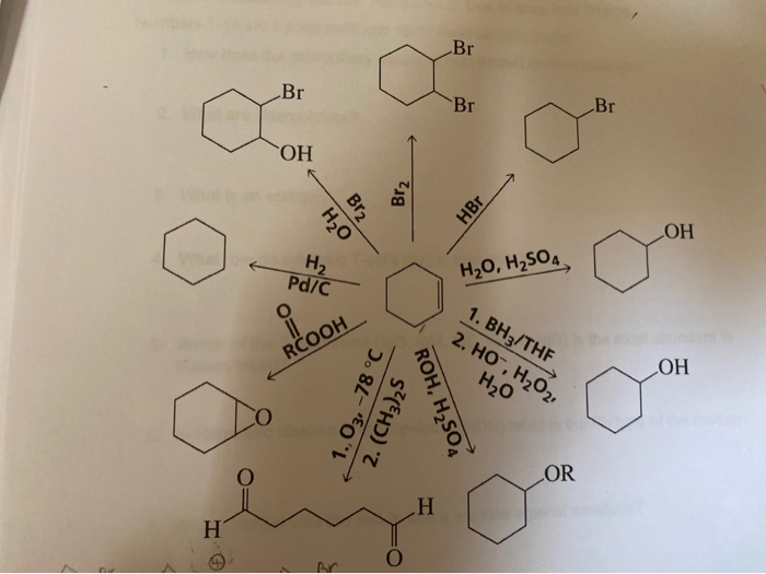 Solved Br Br Br Br OH Br2 Br2 HBr H2O ОН H2 H20, H2SO4 Pd/C | Chegg.com