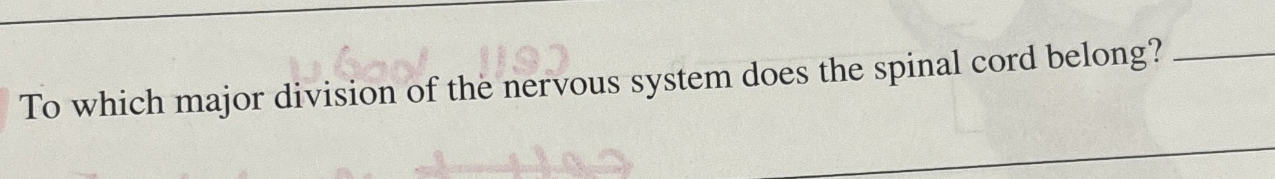 Solved To which major division of the nervous system does | Chegg.com