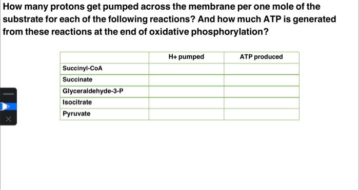 Solved How many protons get pumped across the membrane per | Chegg.com