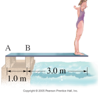 Solved A diver stands on the end of a diving board as shown | Chegg.com