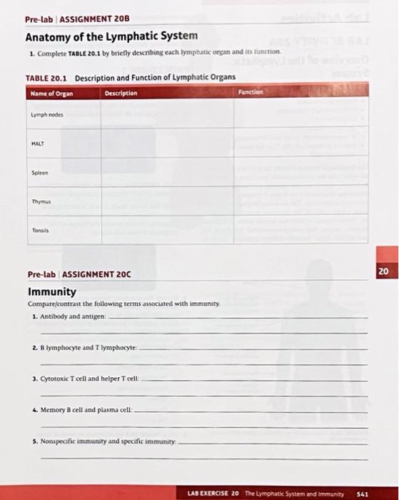 pre lab assignment 20b question 1