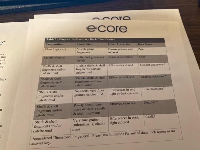 e core Lab 5 Sedimentary Rocks Lab Worksheet