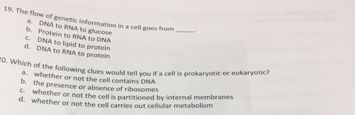 The Flow Of Genetic Information In A Cell Goes From www.chegg.com