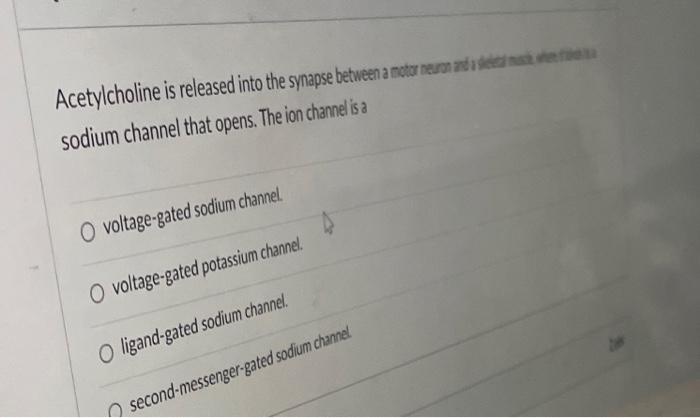 Solved When an action potential reaches the membrane of the | Chegg.com