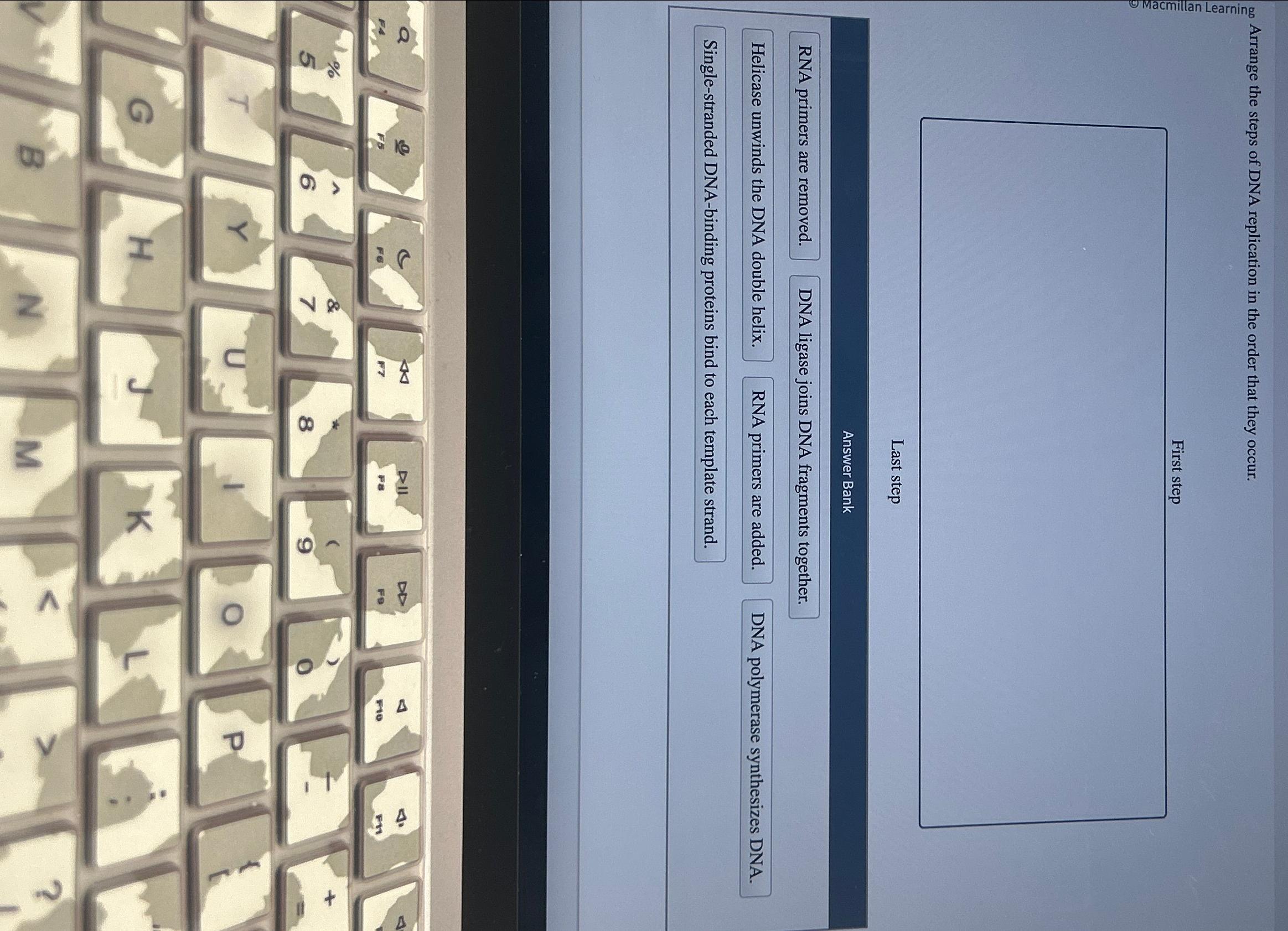 Solved Arrange the steps of DNA replication in the order | Chegg.com 