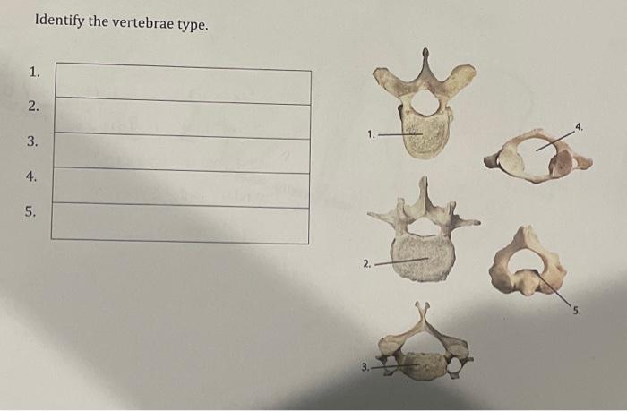 student submitted image, transcription available below