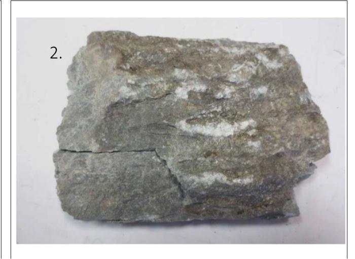 Solved Table 1. Rock compositions, metamorphic rock names | Chegg.com