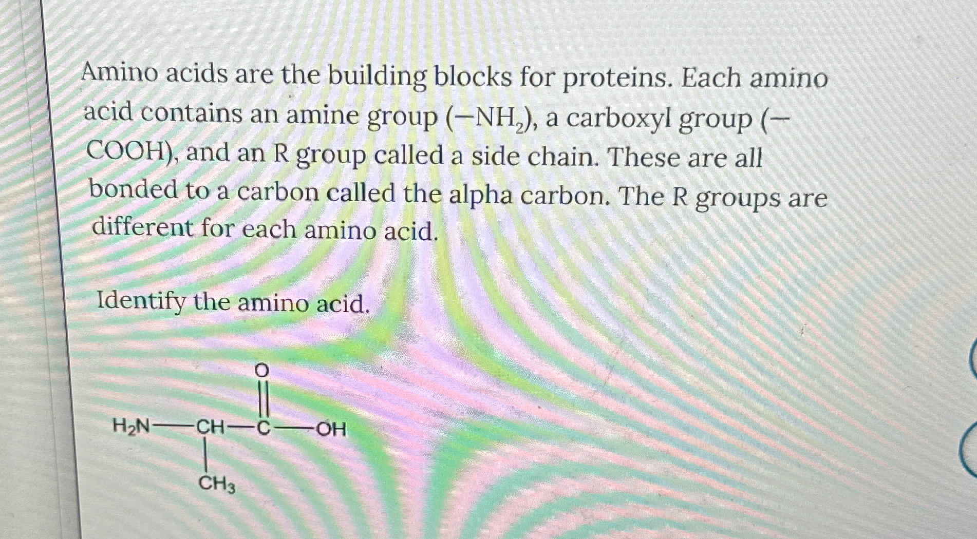 Solved Amino acids are the building blocks for proteins. | Chegg.com