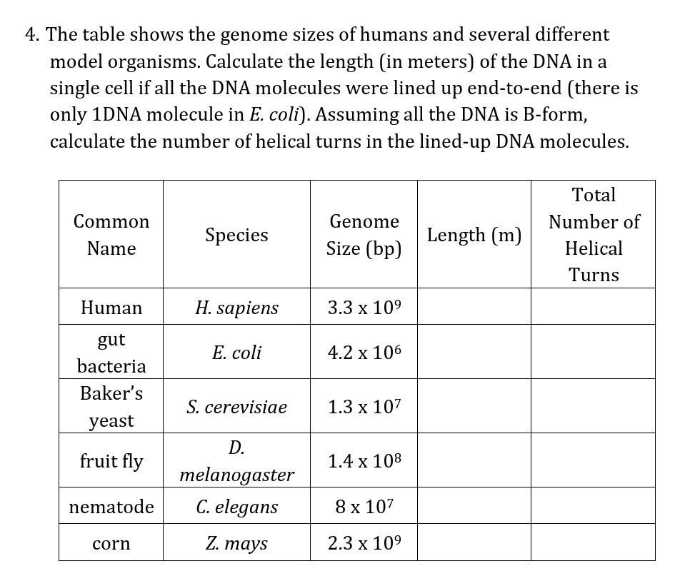 Bekritiseren Begrijpen Baby Solved 4. The table shows the genome sizes of humans and | Chegg.com