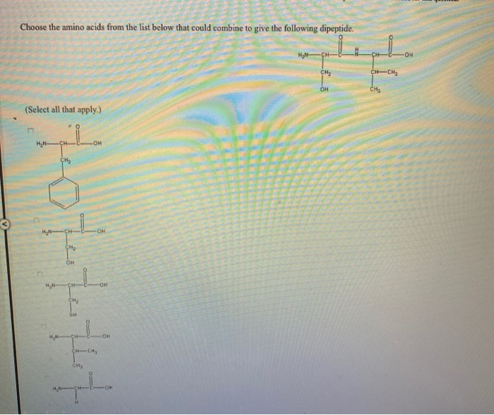 Solved Choose the amino acids from the list below that could | Chegg.com