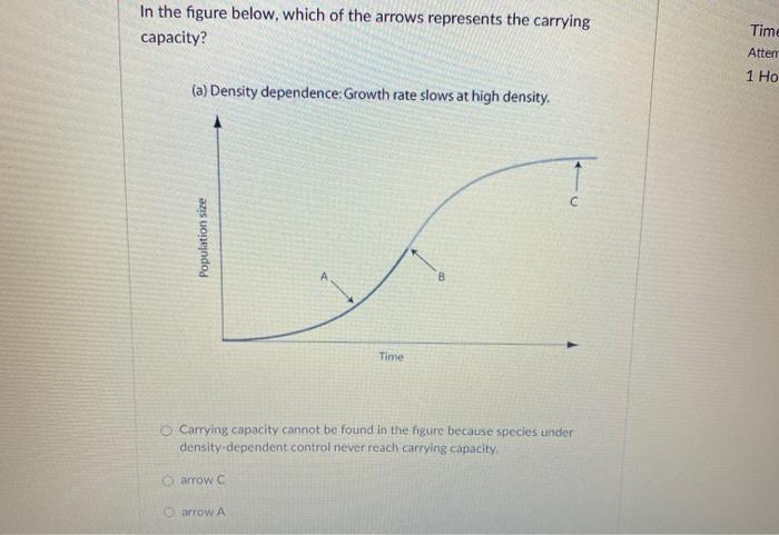 Solved In the figure below, which of the arrows represents | Chegg.com