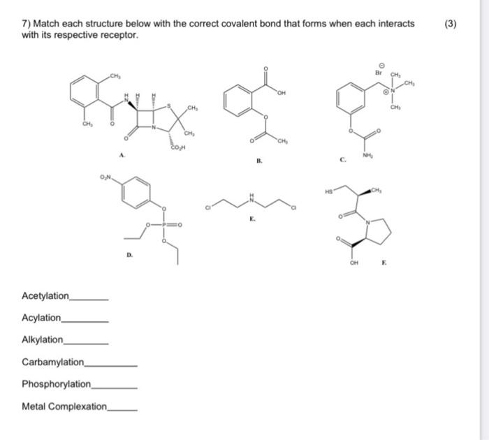 Solved 7) Match each structure below with the correct | Chegg.com